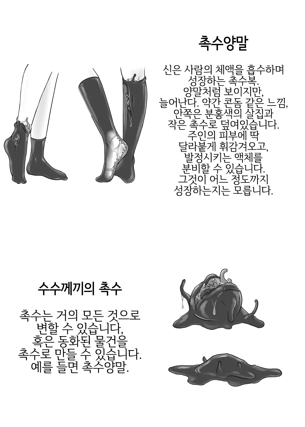 Shokushu Socks | 촉수 양말